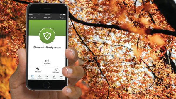 total connect over autumn leaves